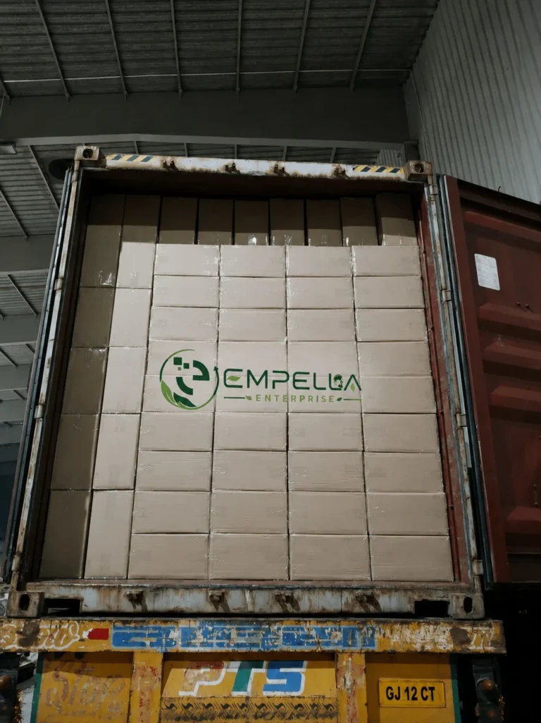container-1